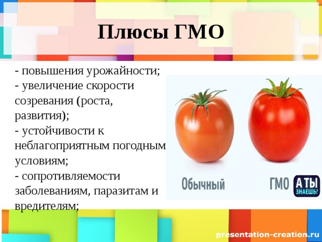 Плюсы ГМО - повышения урожайности;  - увеличение скорости созревания (роста, развития);  - устойчивости к неблагоприятным погодным условиям;  - сопротивляемости заболеваниям, паразитам и вредителям;   