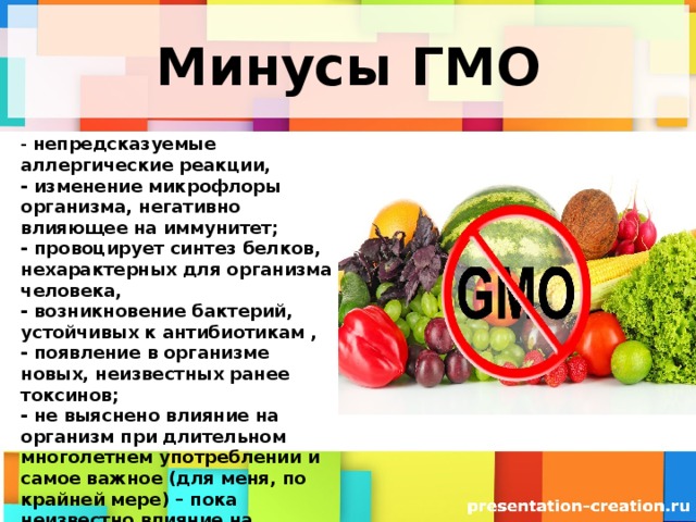 Свойства гмо. ГМО. Минусы ГМО. Минусы генетически модифицированных продуктов. Плюсы и минусы ГМО.