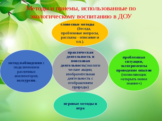 План работы в старшей группе по экологическому воспитанию по