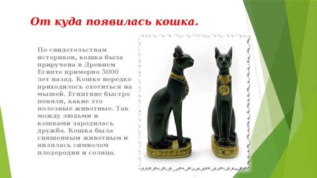 Кошка была приручена в древнем. Кошек приручили в древнем Египте. Кошка была приручена в древнем Египте примерно 5000 лет. Изложение кошка была приручена в древнем Египте. Кошка была приручена в древнем Египте примерно 5000 лет назад текст.
