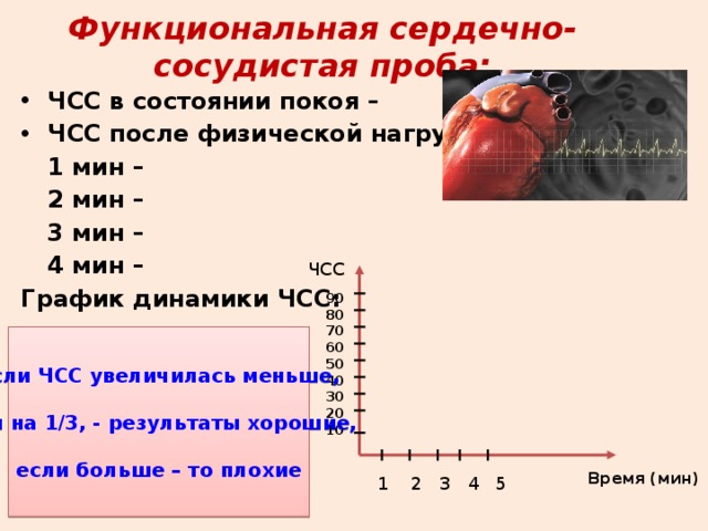 Функционально сердечно сосудистая проба практическая. Частота сердечных сокращений в состоянии покоя. График функциональной сердечно-сосудистой пробы. ЧСС В состоянии покоя ЧСС после физической нагрузки. Функциональная сердечно сосудистая проба вывод.