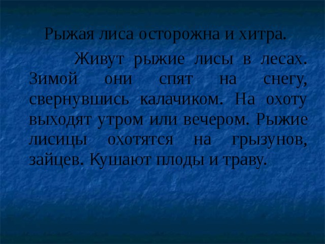  Рыжая лиса осторожна и хитра.  Живут рыжие лисы в лесах. Зимой они спят на снегу, свернувшись калачиком. На охоту выходят утром или вечером. Рыжие лисицы охотятся на грызунов, зайцев. Кушают плоды и траву.   
