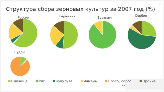 Диаграмма зерновых. Структура валового сбора зерновых культур. Диаграмма валового сбора зерновых культур.