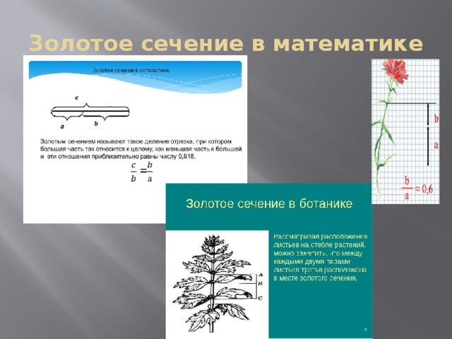 Золотое сечение в математике 