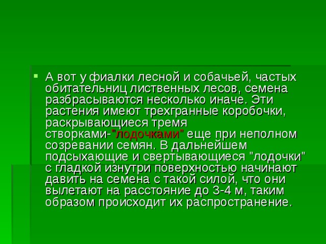 А вот у фиалки лесной и собачьей, частых обитательниц лиственных лесов, семена разбрасываются несколько иначе. Эти растения имеют трехгранные коробочки, раскрывающиеся тремя створками- 