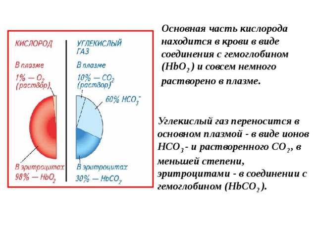 Основная часть кислорода находится в крови в виде соединения с гемоглобином (HbO 2 ) и совсем немного растворено в плазме. Углекислый газ переносится в основном плазмой - в виде ионов НСО 3 - и растворенного СО 2 , в меньшей степени, эритроцитами - в соединении с гемоглобином (HbСO 2 ). 