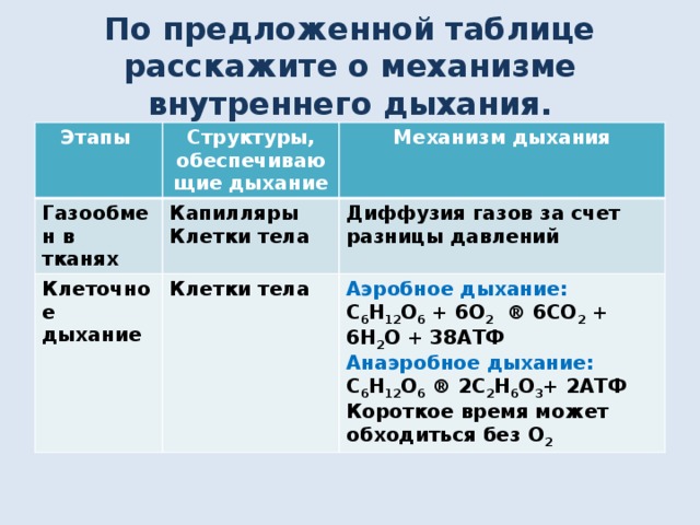 Этапы клеточного дыхания. Этапы дыхания таблица. Стадии клеточного дыхания таблица. Этапы процесса дыхания таблица. Этапы клеточного дыхания таблица.