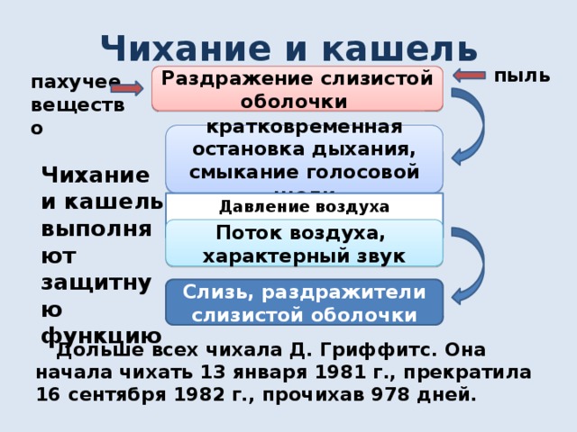 Чихание и кашель пыль пахучее вещество Раздражение слизистой оболочки кратковременная остановка дыхания, смыкание голосовой щели Чихание и кашель выполняют защитную функцию Давление воздуха увеличивается Поток воздуха, характерный звук Слизь, раздражители слизистой оболочки  Дольше всех чихала Д. Гриффитс. Она начала чихать 13 января 1981 г., прекратила 16 сентября 1982 г., прочихав 978 дней.  