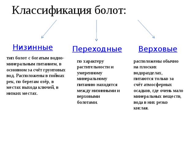 Признаки болота. Классификация болот по водно-минеральному питанию. Типы болот. Классификация болот схема. Характеристика болот.