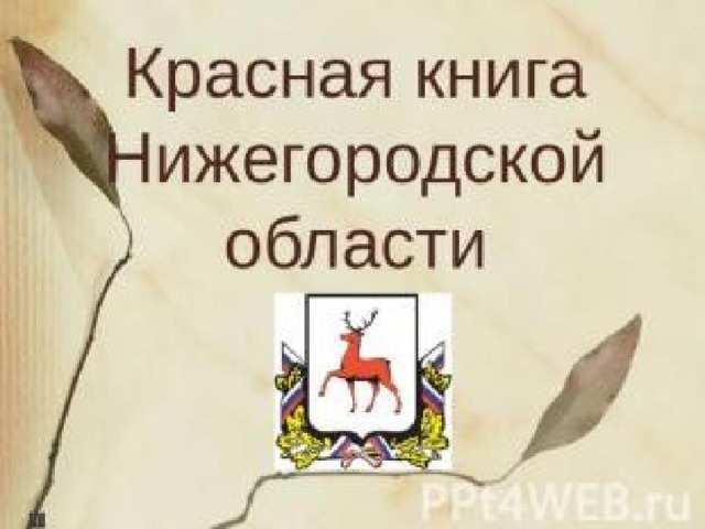 Голос за региональный проект нижегородской области