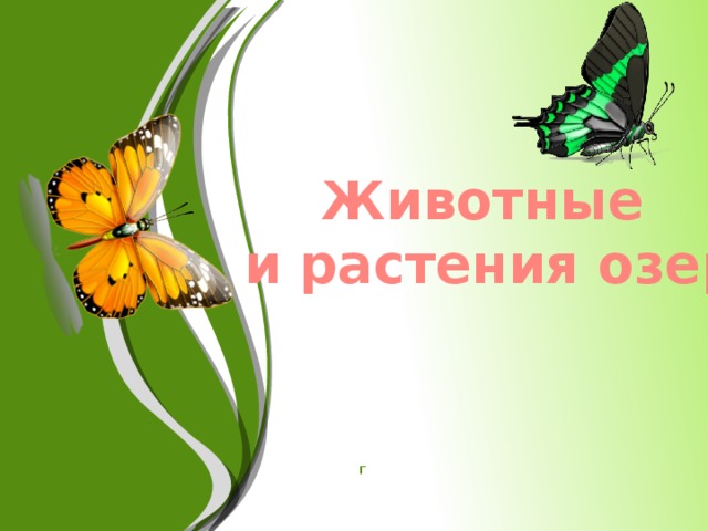 Животные и растения озер г 
