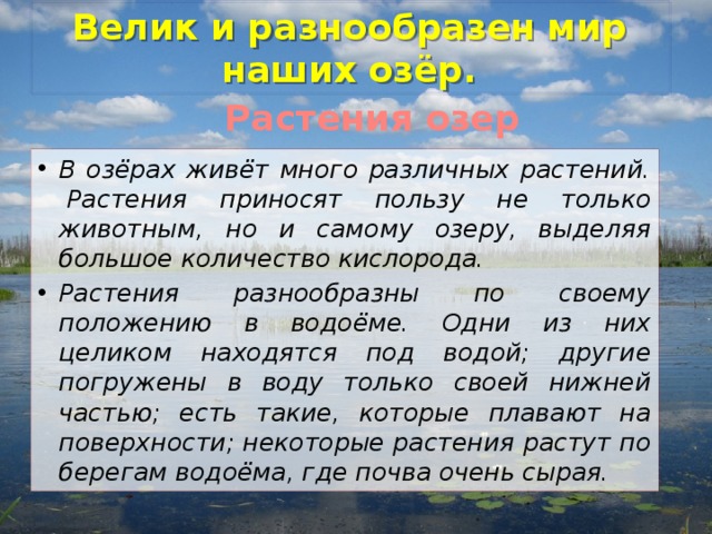 Велик и разнообразен мир наших озёр. Растения озер В озёрах живёт много различных растений.  Растения приносят пользу не только животным, но и самому озеру, выделяя большое количество кислорода.  Растения разнообразны по своему положению в водоёме. Одни из них целиком находятся под водой; другие погружены в воду только своей нижней частью; есть такие, которые плавают на поверхности; некоторые растения растут по берегам водоёма, где почва очень сырая. 