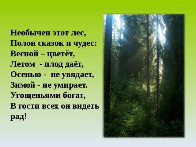 Необычен этот лес, Полон сказок и чудес: Весной – цветёт, Летом - плод даёт, Осенью - не увядает, Зимой - не умирает. Угощеньями богат, В гости всех он видеть рад! 