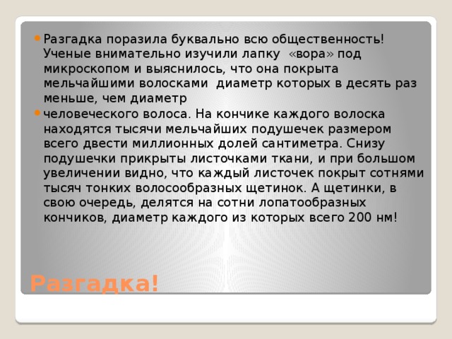 Разгадка поразила буквально всю общественность! Ученые внимательно изучили лапку «вора» под микроскопом и выяснилось, что она покрыта мельчайшими волосками  диаметр которых в десять раз меньше, чем диаметр человеческого волоса. На кончике каждого волоска находятся тысячи мельчайших подушечек размером всего двести миллионных долей сантиметра. Снизу подушечки прикрыты листочками ткани, и при большом увеличении видно, что каждый листочек покрыт сотнями тысяч тонких волосообразных щетинок. А щетинки, в свою очередь, делятся на сотни лопатообразных кончиков, диаметр каждого из которых всего 200 нм! Разгадка! 