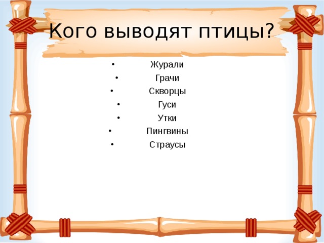 Кого выводят птицы? Журали Грачи Скворцы Гуси Утки Пингвины Страусы  