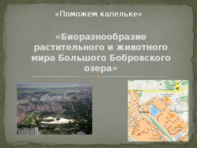 «Поможем капельке» «Биоразнообразие растительного и животного мира Большого Бобровского озера»