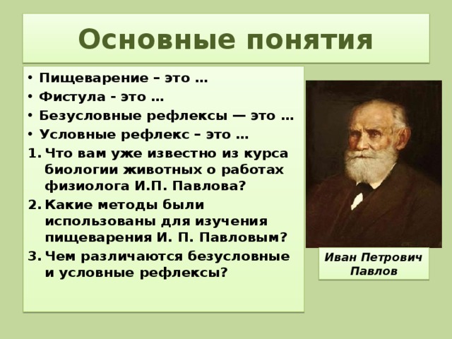 Основные понятия Пищеварение – это … Фистула - это … Безусловные рефлексы — это … Условные рефлекс – это … Что вам уже известно из курса биологии животных о работах физиолога И.П. Павлова? Какие методы были использованы для изучения пищеварения И. П. Павловым? Чем различаются безусловные и условные рефлексы? Иван Петрович Павлов 