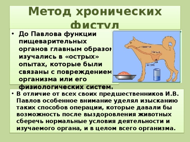 Метод хронических фистул До Павлова функции пищеварительных органов главным образом изучались в «острых» опытах, которые были связаны с повреждением организма или его физиологических систем. В отличие от всех своих предшественников И.В. Павлов особенное внимание уделял изысканию таких способов операции, которые давали бы возможность после выздоровления животных сберечь нормальные условия деятельности и изучаемого органа, и в целом всего организма.  