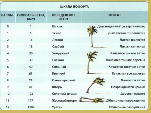 Шкала бофорта в картинках