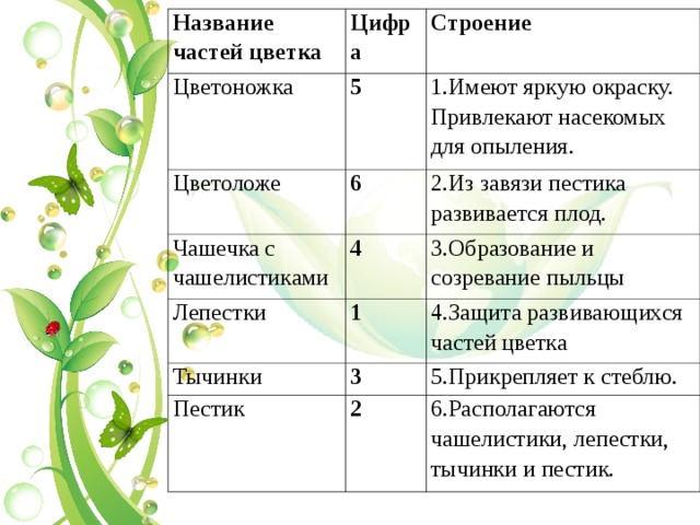 В приведенном ниже списке названы органы растения. Строение цветка в таблице строение и функции. Функции частей цветка 6 класс биология таблица. Части цветка и их функции 6 класс биология. Строение цветка таблица.