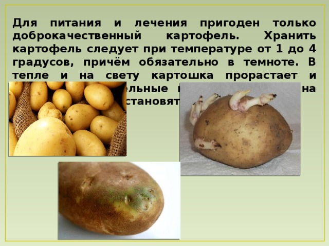 Для питания и лечения пригоден только доброкачественный картофель. Хранить картофель следует при температуре от 1 до 4 градусов, причём обязательно в темноте. В тепле и на свету картошка прорастает и зеленеет. Питательные вещества уходят на ростки, а клубни становятся дряблыми. 