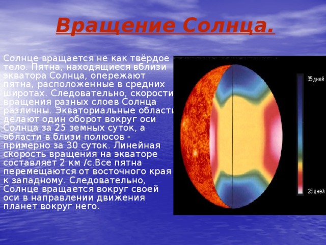 Вращение Солнца. Солнце вращается не как твёрдое тело. Пятна, находящиеся вблизи экватора Солнца, опережают пятна, расположенные в средних широтах. Следовательно, скорости вращения разных слоев Солнца различны. Экваториальные области делают один оборот вокруг оси Солнца за 25 земных суток, а области в близи полюсов - примерно за 30 суток. Линейная скорость вращения на экваторе составляет 2 км /с.Все пятна перемещаются от восточного края к западному. Следовательно, Солнце вращается вокруг своей оси в направлении движения планет вокруг него. 