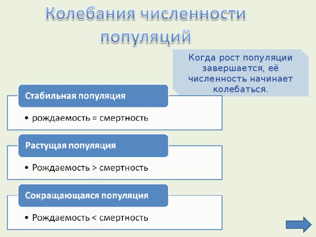 Когда рост популяции завершается, её численность начинает колебаться. 