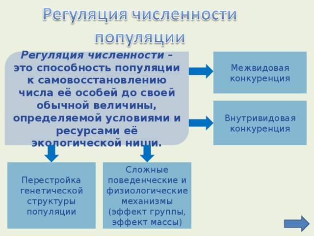 Регуляция численности – это способность популяции к самовосстановлению числа её особей до своей обычной величины, определяемой условиями и ресурсами её экологической ниши. Межвидовая конкуренция Внутривидовая конкуренция Сложные поведенческие и физиологические механизмы (эффект группы, эффект массы) Перестройка генетической структуры популяции 