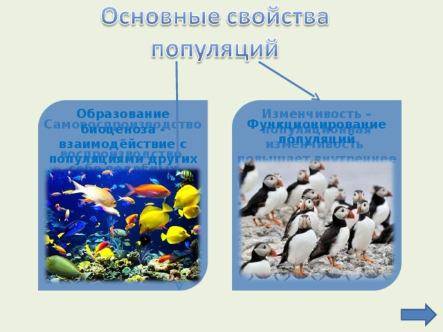 Функционирование популяции в природе презентация 9 класс пономарева и н