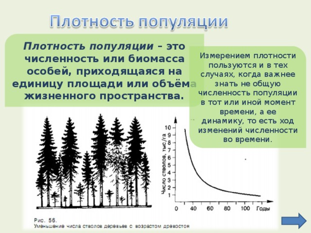 Изменение численности особей популяции называют. Плотность популяции. Численность популяции растений. Численность и плотность популяции. Плотность популяции это в экологии.