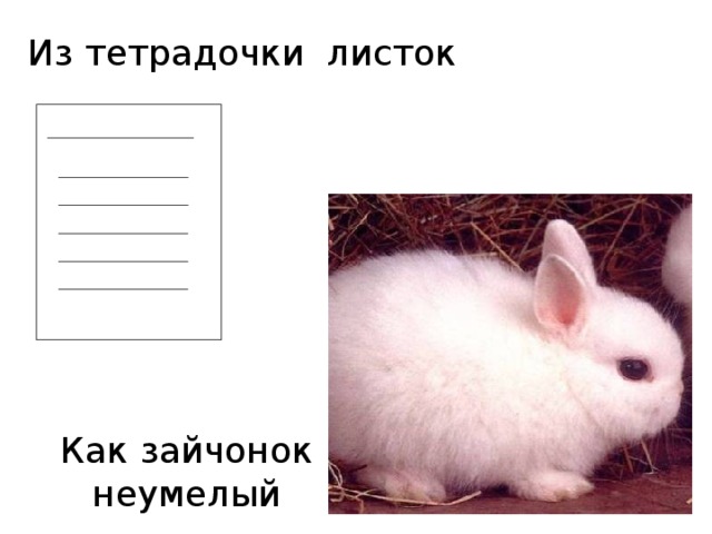 Из тетрадочки  листок Как зайчонок неумелый 
