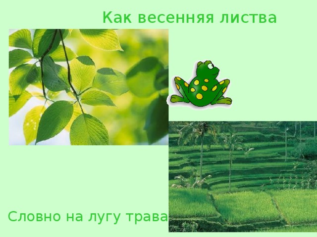 Как весенняя листва Словно на лугу  трава 