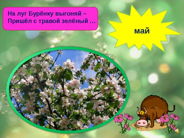 На луг Бурёнку выгоняй – Пришёл с травой зелёный … май 