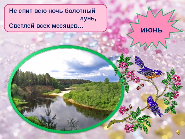 Не спит всю ночь болотный  лунь, Светлей всех месяцев… июнь 2 