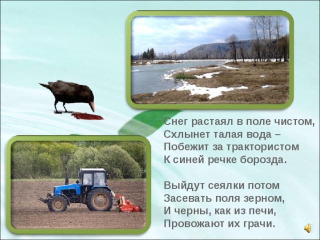 Снег растаял в поле чистом, Схлынет талая вода – Побежит за трактористом К синей речке борозда.  Выйдут сеялки потом Засевать поля зерном, И черны, как из печи, Провожают их грачи. 