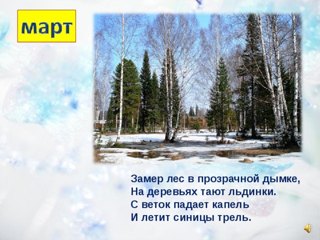 Замер лес в прозрачной дымке, На деревьях тают льдинки. С веток падает капель И летит синицы трель. 