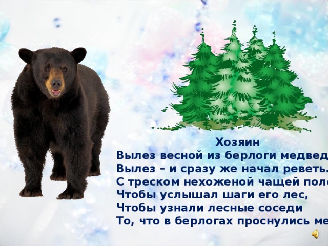  Хозяин Вылез весной из берлоги медведь, Вылез – и сразу же начал реветь. С треском нехоженой чащей полез, Чтобы услышал шаги его лес, Чтобы узнали лесные соседи То, что в берлогах проснулись медведи. 