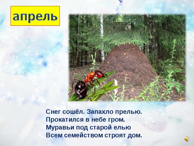 Снег сошёл. Запахло прелью. Прокатился в небе гром. Муравьи под старой елью Всем семейством строят дом. 