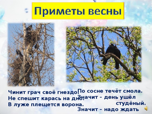 По сосне течёт смола. Значит – день ушёл  студёный. Значит – надо ждать тепла. Чинит грач своё гнездо. Не спешит карась на дно. В луже плещется ворона. 