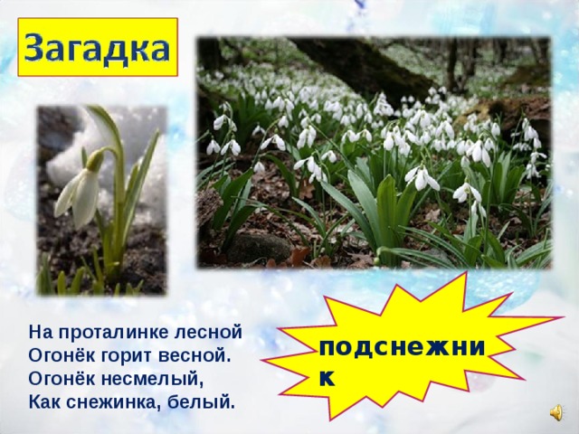 На проталинке лесной Огонёк горит весной. Огонёк несмелый, Как снежинка, белый. подснежник 