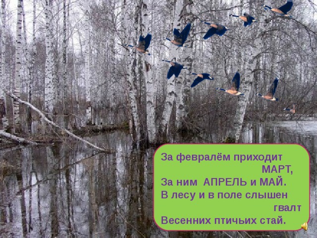 За февралём приходит  МАРТ, За ним АПРЕЛЬ и МАЙ. В лесу и в поле слышен  гвалт Весенних птичьих стай. 