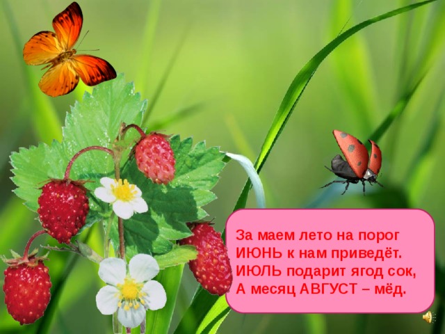 За маем лето на порог ИЮНЬ к нам приведёт. ИЮЛЬ подарит ягод сок, А месяц АВГУСТ – мёд. 