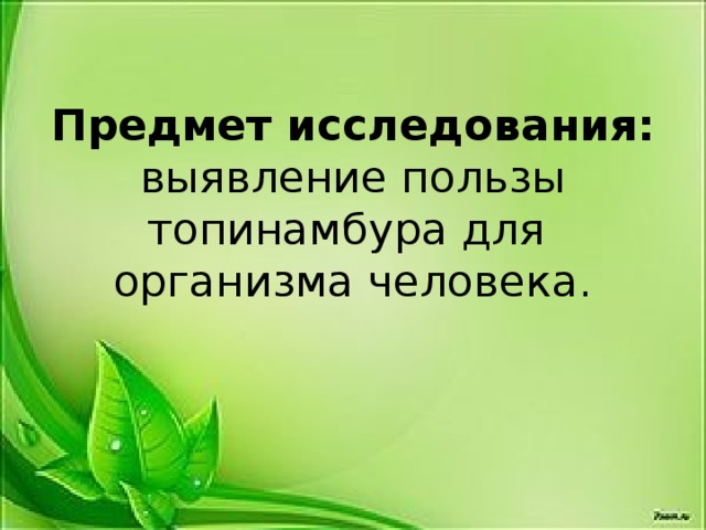 Предмет исследования: выявление пользы топинамбура для организма человека.   