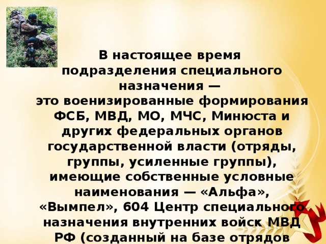 День подразделений специального назначения разговоры. Военизированные формирования. Дата образования СПН вс РФ. Возрастная группа в подразделении СПН. Военизированные формирования России.