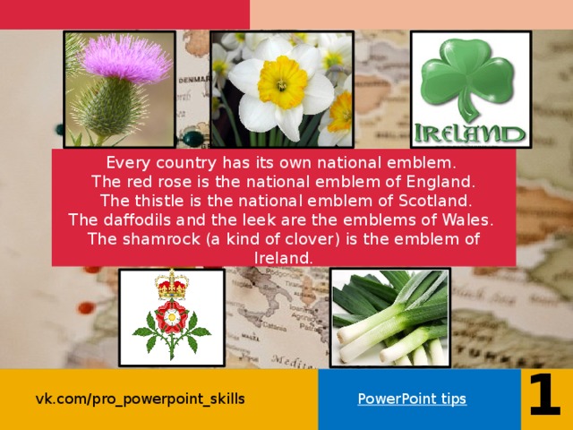 Every country has its own national emblem.  The red rose is the national emblem of England .  The thistle is the national emblem of Scotland .  The daffodils and the leek are the emblems of Wales .   The shamrock (a kind of clover) is the emblem of Ireland .    14 