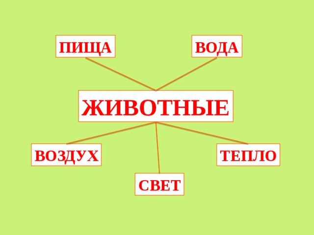 ВОДА ПИЩА ЖИВОТНЫЕ ВОЗДУХ ТЕПЛО СВЕТ 