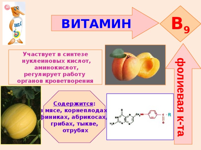 фолиевая к-та B 9 ВИТАМИН    Участвует в синтезе  нуклеиновых кислот,  аминокислот, регулирует работу органов кроветворения   Содержится : в мясе, корнеплодах, финиках, абрикосах, грибах, тыкве,  отрубях 