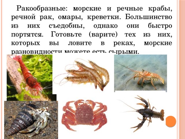 Ракообразные: морские и речные крабы, речной рак, омары, креветки. Большинство из них съедобны, однако они быстро портятся. Готовьте (варите) тех из них, которых вы ловите в реках, морские разновидности можете есть сырыми. 