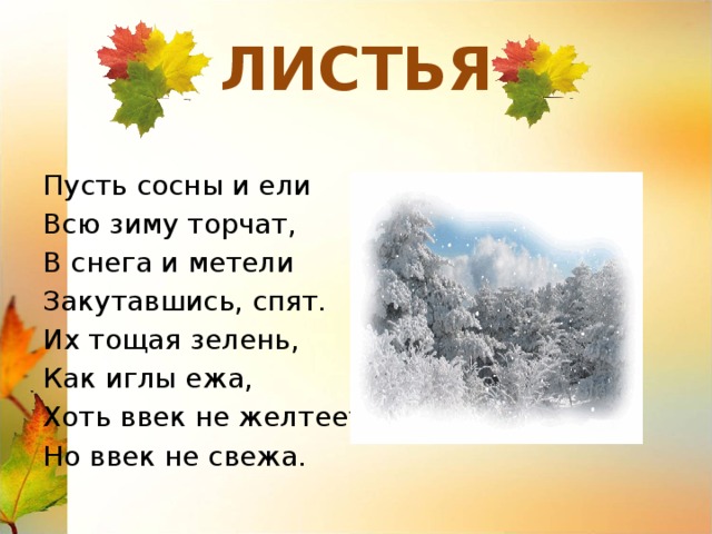 ЛИСТЬЯ Пусть сосны и ели Всю зиму торчат, В снега и метели Закутавшись, спят. Их тощая зелень, Как иглы ежа, Хоть ввек не желтеет, Но ввек не свежа. 