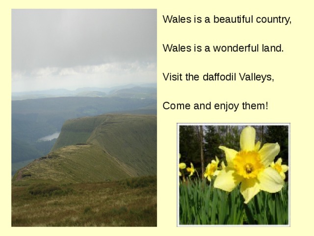 Wales is a beautiful country, Wales is a wonderful land. Visit the daffodil Valleys, Come and enjoy them! 